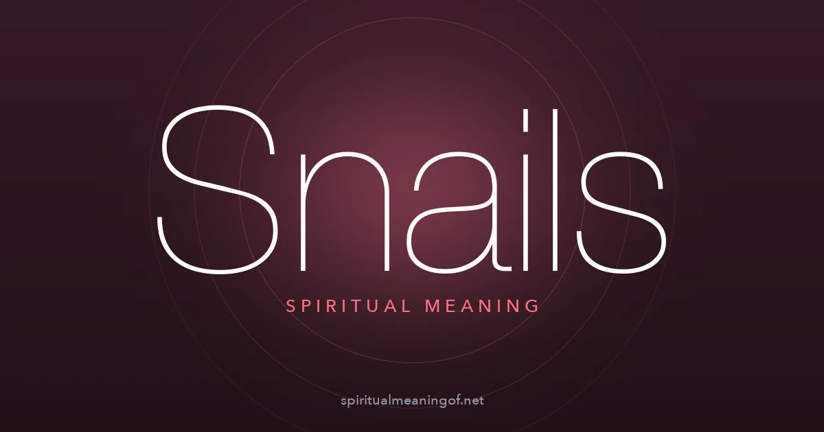 snails spiritual meaning